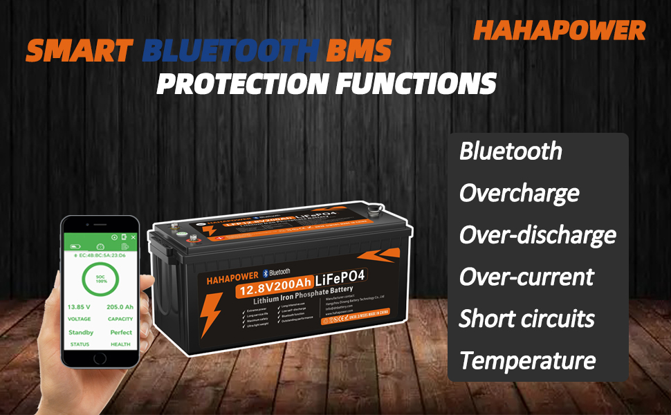 HAHAPOWER 12V 200AH LIFEPO4 BATTERY--06